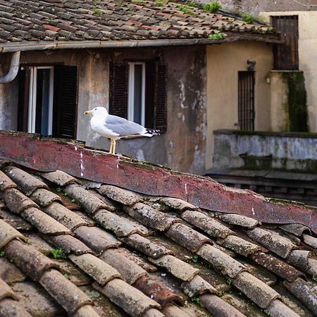 Casa De' Fiori Bed & Breakfast Rome Exterior photo